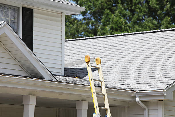 Best Residential Vinyl Siding Installation  in Paulding, OH